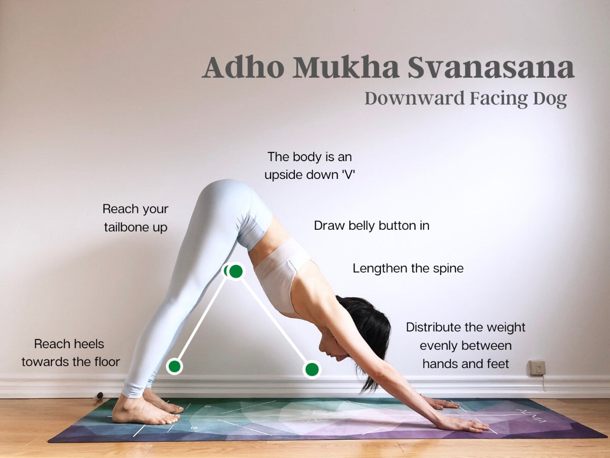 How to do Downward-Facing Dog - Adho Mukha Svanasana – Alma Story